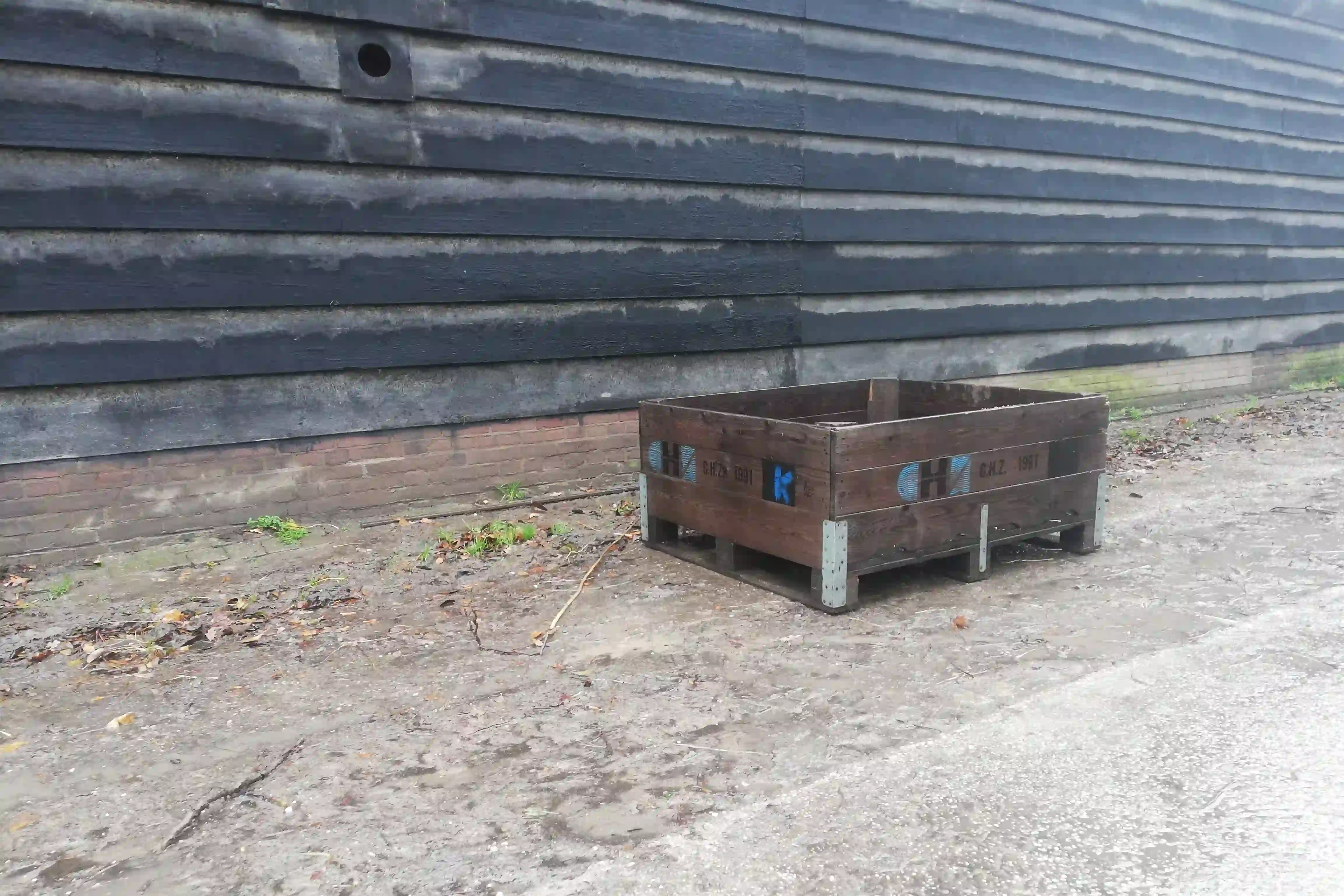 foto hout
