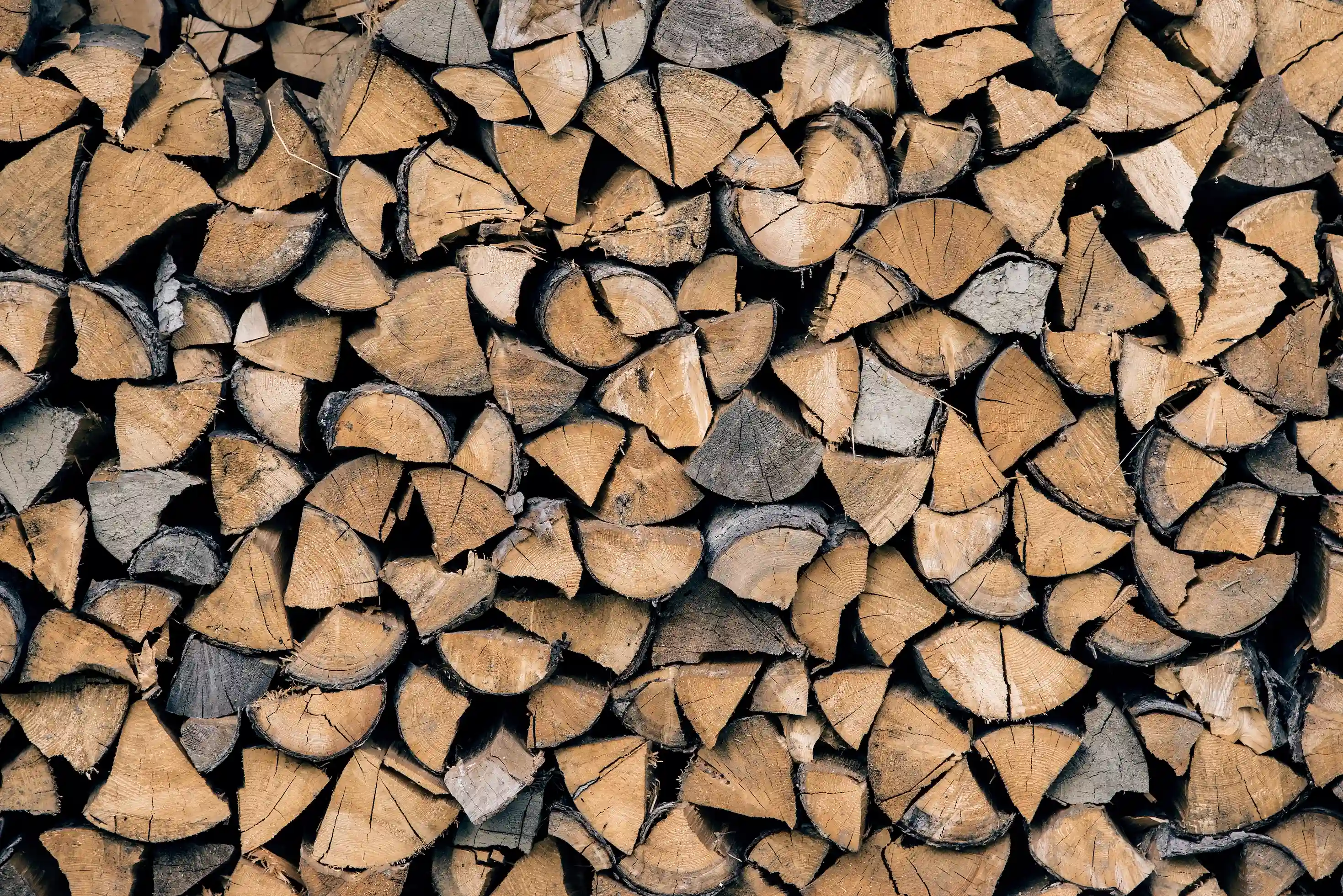 foto hout